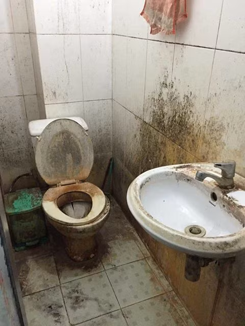 Câu chuyện cùng hình ảnh được thành viên trên chia sẻ có nội dung: "Thế này có khổ nhà em không cơ chứ. Bà em cho cái bà này thuê phòng. Hôm qua bà ấy chuyển đi mà nhà em thì không có ai ở nhà. Và hôm nay nhà em lên thì thấy phòng của bà ý thuê nó như ảnh đây ạ. Thật không thể tin được bấy lâu nay bà ý ăn ở thế nào mà nó lại bẩn thế này được ạ...". Xem xong bức ảnh này, nhiều thành viên mạng cũng phải thốt lên: "Nhà vệ sinh bẩn thế này mà cũng ngồi lên được thì cũng đến lạy"; "Nếu có hội thi bẩn chỉ đứng nhì thôi. Tôi đứng nhất. Chẳng bao giờ ngồi trên đó"; "Nếu có một cuộc thi ở bẩn thì chắc bà này đứng thứ nhất"...