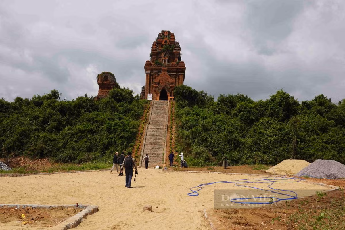 Công trình do Sở Văn hóa và Thể thao tỉnh Bình Định làm chủ đầu tư. Liên danh Công ty TNHH xây dựng Hiếu Ngọc, Công ty TNHH xây dựng Thành Lộc và Công ty TNHH Hùng Phát là đơn vị thi công.(Ảnh: Dân Việt).