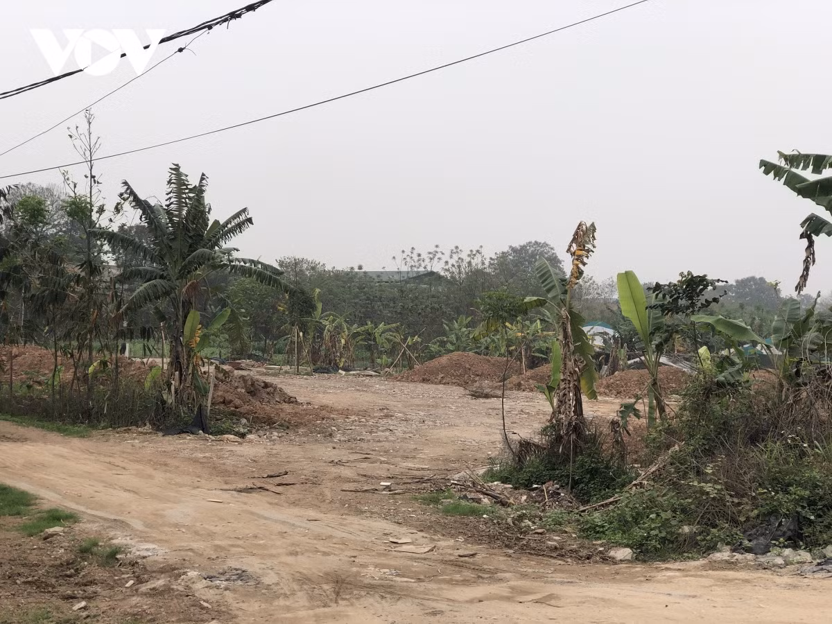 Một khu đất nuôi tôm đan được đổ đất cao để lấy mặt bằng.