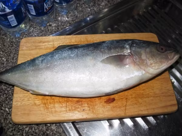  Cá cu còn có tên gọi khác là cá bè hay cá bè cu. Cá cu có hình dáng khá giống cá ngừ, mình hơi dẹp, có vảy màu trắng bạc. Đây là một đặc sản của tỉnh Đà Nẵng. (Nguồn Depplus)