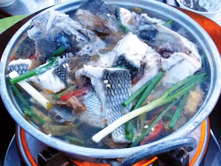 Ngoài Nha Trang, vùng biển ở Quy Nhơn, Quảng Ngãi, Ninh Thuận cũng xuất hiện loài cá có cái tên độc lạ này. (Nguồn Lienviettravel)