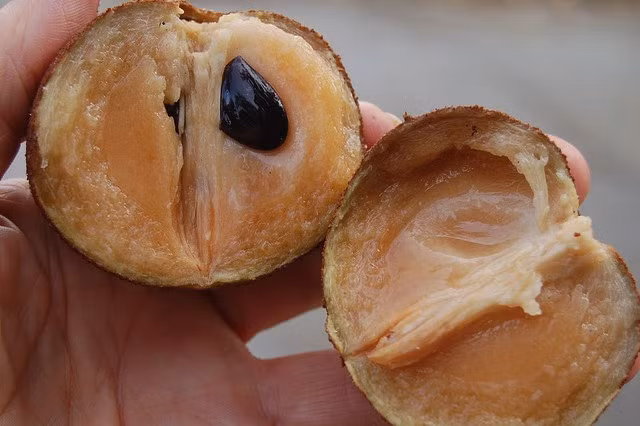 Để chọn được hồng xiêm ngon, bạn nên chọn những quả có hình ô-van, thân trái dài, sẽ ngọt và ít xơ. Bạn cũng nên chọn những trái màu da vàng nâu, có mùi thơm và nắn thấy mềm tay. (Nguồn Pinimg)