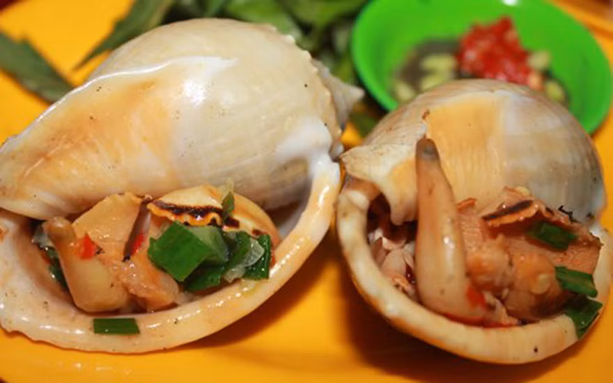  Ốc tỏi có tên gọi như vậy là do hình dáng của nó giống củ tỏi. Ốc có vỏ màu hồng nhạt, phía cuối có hình xoắn còn phần đầu thì bóng loáng. (Ảnh Haosua)