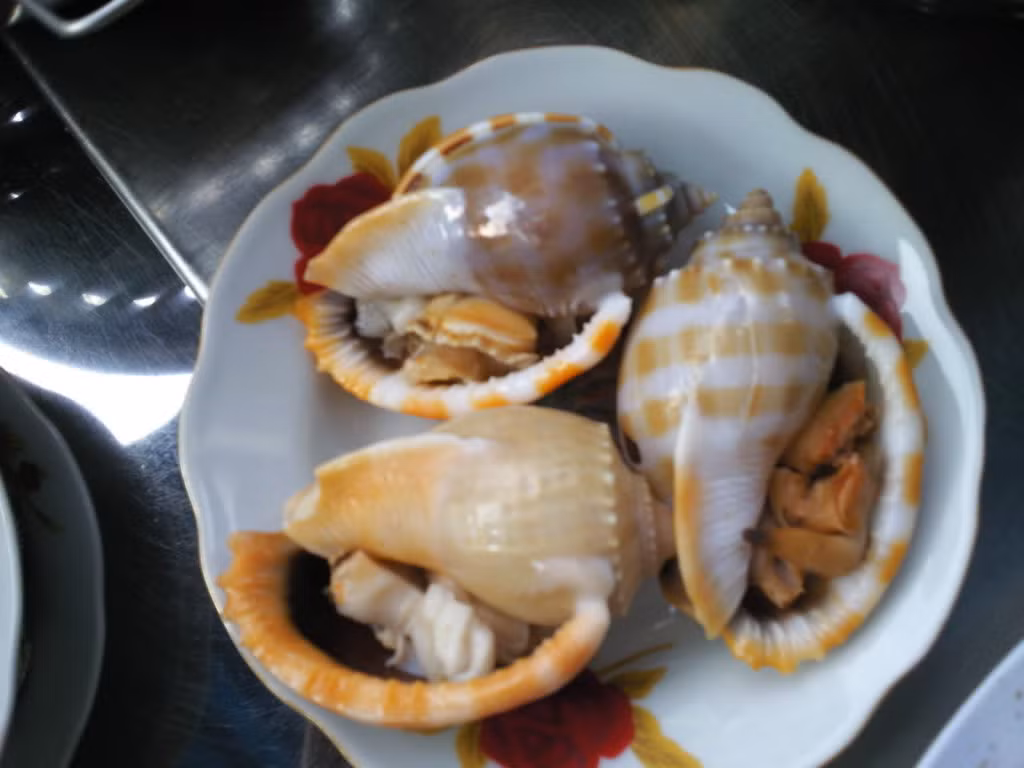 Ốc tỏi được chế biến thành nhiều món ngon khác nhau nhưng ngon và phổ biến nhất vẫn là nướng mỡ hành hoặc xào với rau răm. (Ảnh Blogspot)