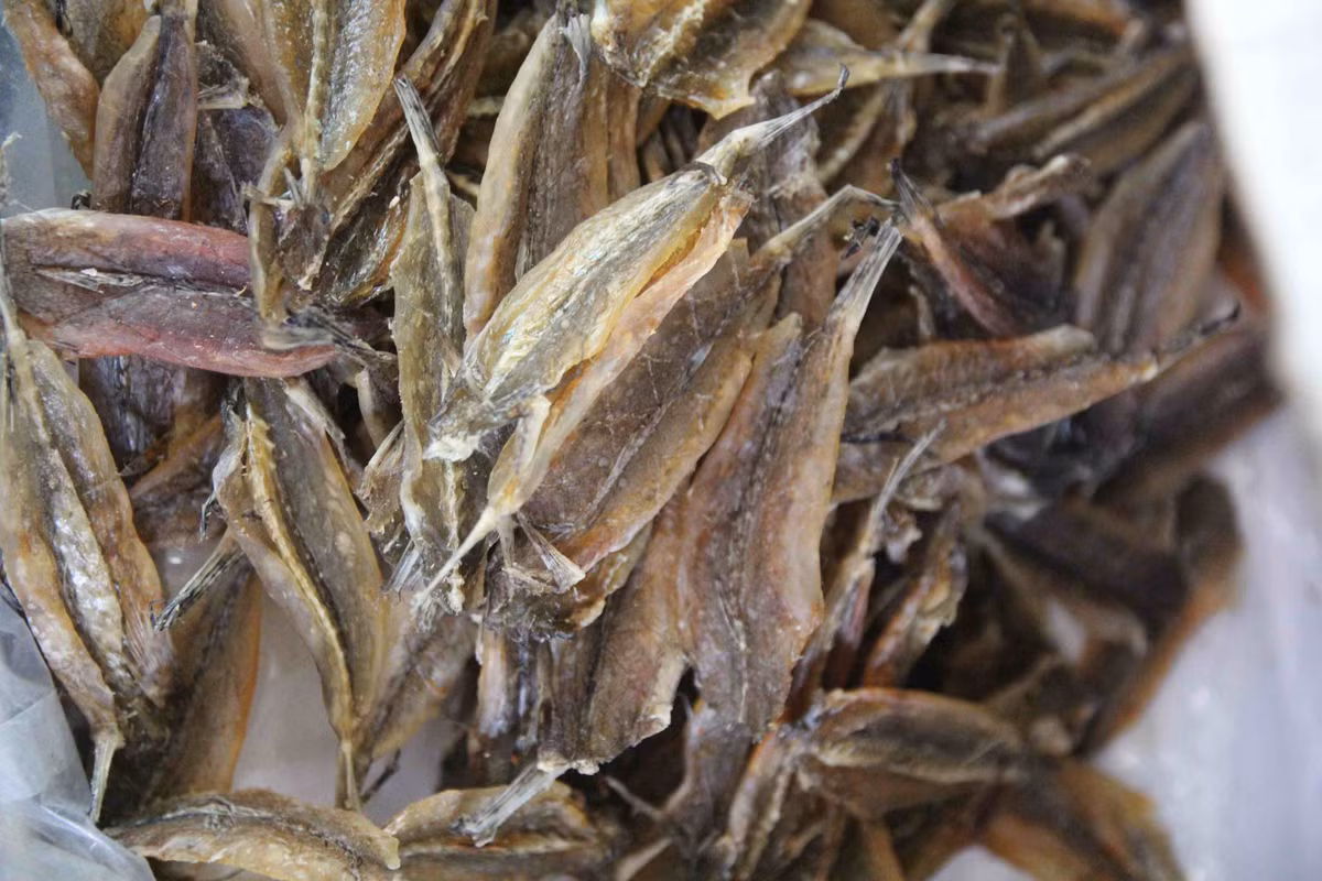 Cá chai không chỉ là loài cá có giá trị kinh tế mà còn rất giàu giá trị dinh dưỡng. Loài cá này chứa hàm lượng cao canxi và vitamin D tự nhiên. (Nguồn Bizwebmedia)