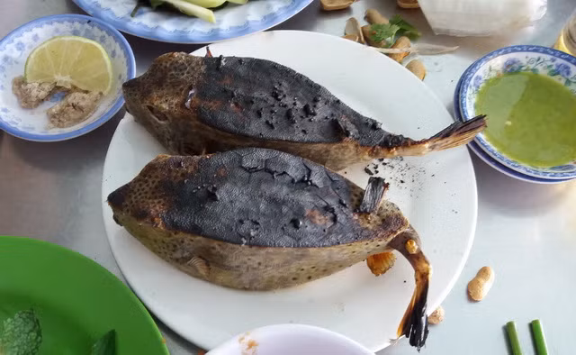 Cá bò hòm có thể chế biến thành rất nhiều món ăn ngon khác nhau như cá bò hòm nướng, cá bò hòm cuốn bánh tráng, cá bò hòm hấp,....(Nguồn Blogspot)