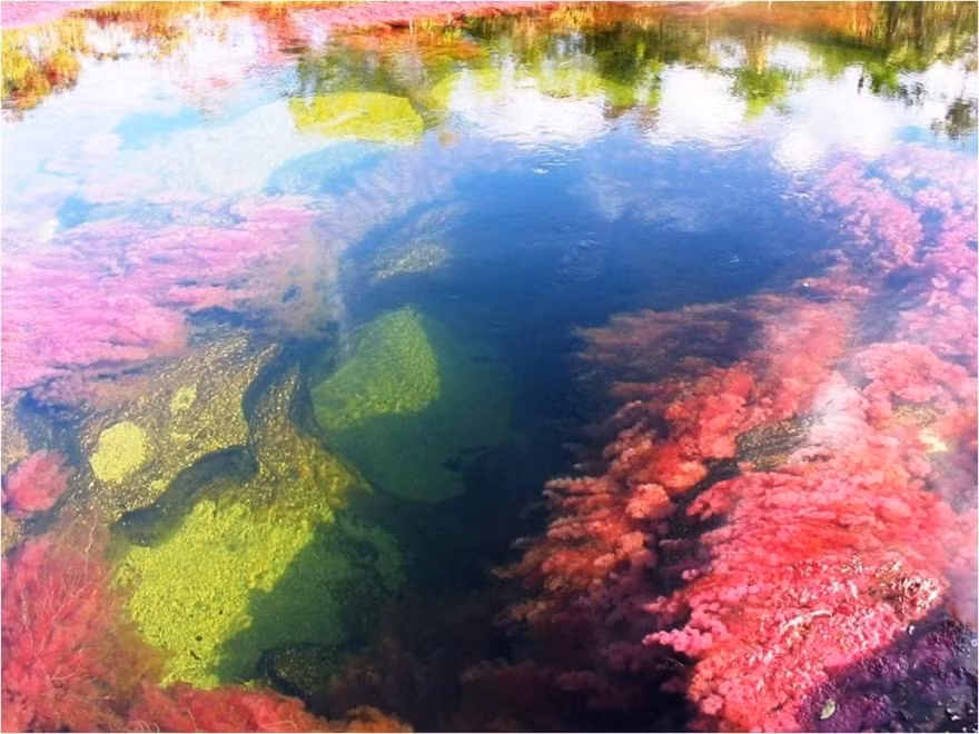  Caño Cristales, Serrania de la Macarena, Colombia Dòng sông này có màu sắc khác thường là do ảnh hưởng của ánh nắng mặt trời tác động lên lượng lượng tảo và rêu màu khổng lồ khi chúng sinh sôi nảy nở, tương tác mãnh liệt với ánh sáng từ tháng 6 đến tháng 11. Nguồn ảnh: brightside.