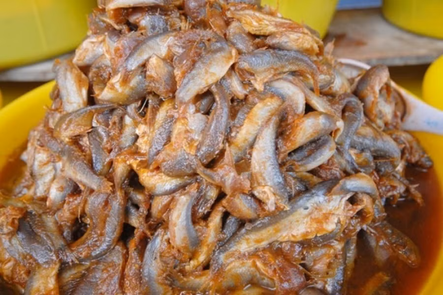  Cá chốt phân bố khắp lưu vực sông Cửu Long của nước ta, nhưng cá chốt có thịt ngon ngọt, săn chắc vẫn là cá chốt Bạc Liêu. (Nguồn Chinhgoc)
