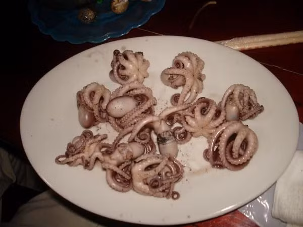 Ở Quảng Ninh có nhiều địa phương đánh bắt được ruốc, nhưng ngon nhất là con ruốc ở Quảng Yên và Hoành Bồ. (Nguồn Blogspot)