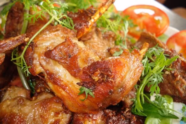 Chuột cống nhum đực nhanh lớn hơn chuột cống nhum cái. Chuột cái nuôi được 6 tháng sẽ đẻ lứa đầu tiên từ 4-7 con. Sau đó, cứ cách ba tháng chuột cái lại đẻ tiếp. (Nguồn Thuonghieuvietnoitieng)