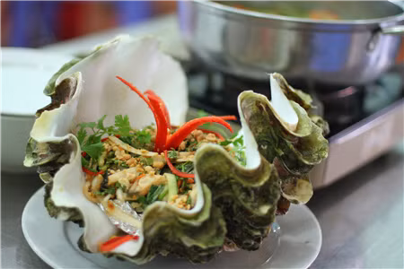 Ở Việt Nam, ốc tai tượng có ở vùng biển của Nha Trang, Phú Yên, Ninh Thuận, Cù Lao Chàm, Côn Đảo. (Ảnh Haisansachphanthiet)