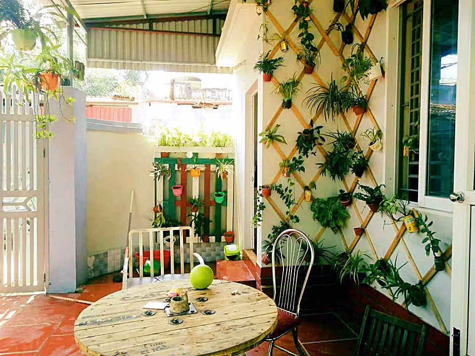 160 m2 diện tích còn lại được chị tận dùng làm sân vườn nên không gian căn nhà cấp 4 của vợ chồng chị Lan vô cùng thoáng mát, gần gũi với thiên nhiên.