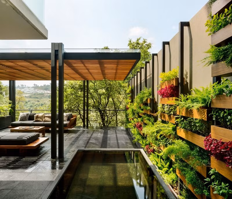 Cây trồng trong chậu gỗ thành hàng đẹp mắt.