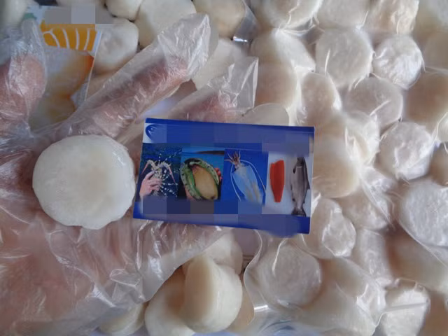 Trong khi cồi sò điệp Việt Nam có giá từ 250.000 - 400.000 đồng/kg thì cồi sò điệp Nhật Bản đông lạnh lên tới 1 - 1,5 triệu đồng/kg. Ảnh: Hieuhaisan.