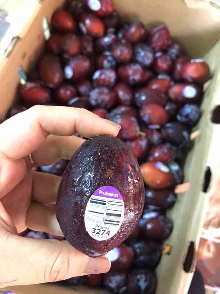 Mận nhót Mỹ cũng có hình bầu dục, vỏ đỏ thẫm. Ảnh: FB Hoa quả ưu đàm.