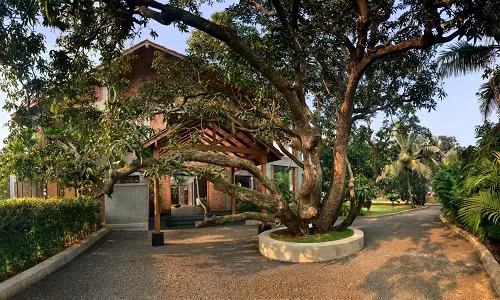 Nằm tại thị trấn Alibag, Mumbai (Ấn Độ), ngôi nhà 2 tầng không sơn, không trát này là công trình sáng tạo của nhóm kiến trúc sư Studio PKA.