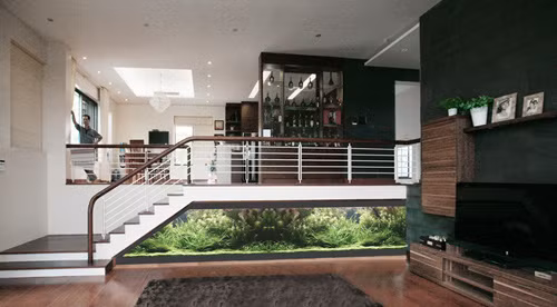 Khu vực tầng hầm sử dụng bể các vừa trang trí vừa là vách ngăn giữa gara và các không gian công cộng.