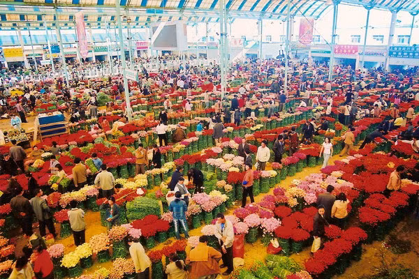 Từ nửa đêm cho đến 4 giờ sáng, hoạt động buôn bán trở nên tấp nập.