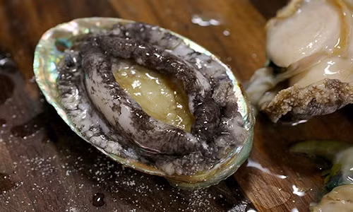 Bào ngư Hàn Quốc đông lạnh có giá bán từ 1,1 - 1,2 triệu đồng/kg. Ảnh: FB Tuyết Trần.