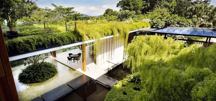 Nhìn từ xa, biệt thự 2 tầng như một ốc đảo xanh giữa lòng thành phố. Nguồn ảnh: Architizer.