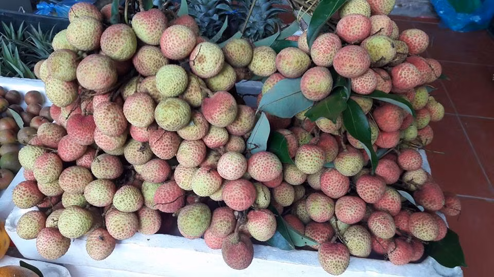 Trên thị trường, vải sớm Thanh Hà đang được rao bán với giá trung bình 50.000 đồng/kg. Ảnh: FB Hoa Le.