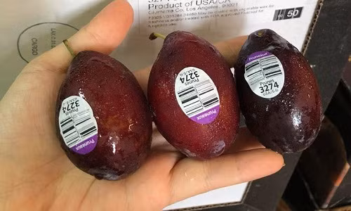 Mận nhót Mỹ đang được các cửa hàng rao bán từ 220.000 - 280.000 đồng. Ảnh: FB Hoa quả ưu đàm.
