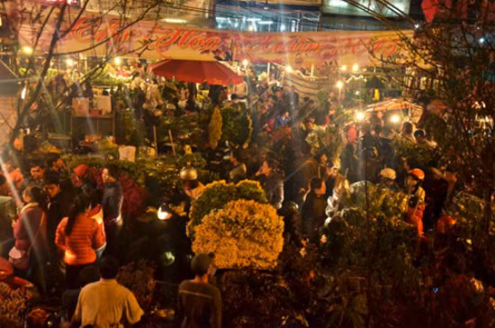 Chợ hoa Quảng Bá thường họp từ 23h đến rạng sáng. Hoa ở chợ chủ yếu được chuyển về từ khắp các vùng lân cận thủ đô như Đông Anh, Tây Tựu, Gia Lâm. Ảnh: Vivuahanoi.