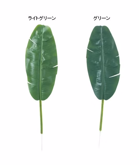 Không bán riêng lẻ như Việt Nam, lá chuối xanh được bán như một "đặc sản". Ảnh: Joaf.