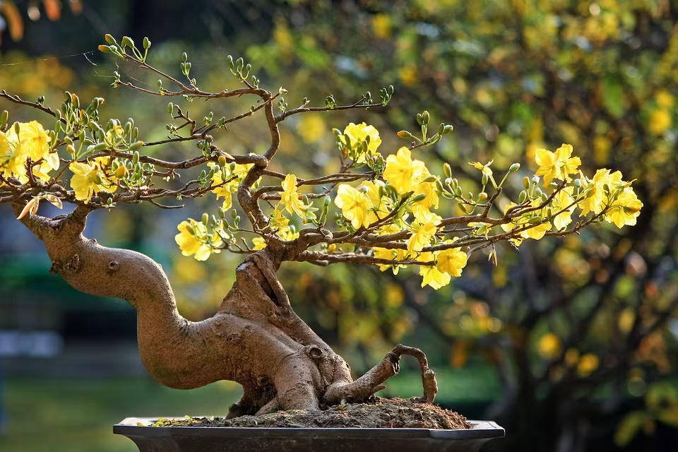 Có thể là cành đào, cây mai, quất cảnh...các loại cây ra lộc trong năm mới đều được coi là mang đến niềm vui cho người nhận. Ảnh: Pixabay.