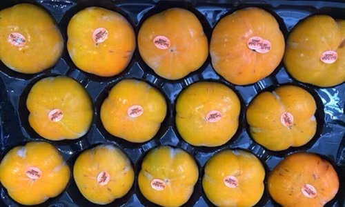 Hồng giòn Mỹ quả to, dẹt, vị ngọt đậm và giòn tan. Ảnh: VinFruits.