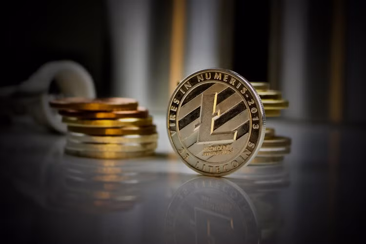 Đạt mức 255,42 USD vào ngày 12/12, Litecoin đã tăng đến 5.758% trong năm 2017. Mức tăng này khiến nó đánh bại cả đối thủ Bitcoin. Ảnh: CoinDesk.