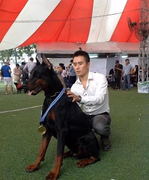 Chàng trai Nguyễn Hoàng (sinh 1986) ở Trương Định, Hoàng Mai, Hà Nội, ông chủ trại chó Doberman được bạn trẻ khắp cả nước biết đến và ngưỡng mộ. Ảnh: VTC.