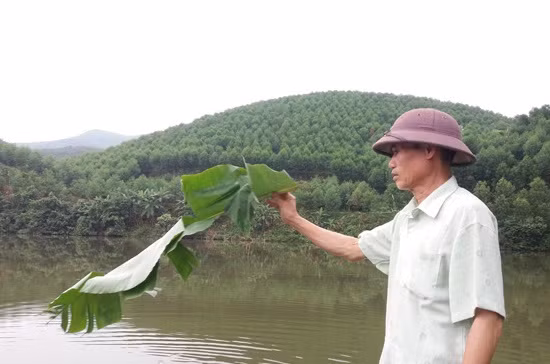 Sống bên núi đồi lâu, ông Trần Đình Trọng (xã Kim Ngọc, Bắc Quang, Hà Giang) nảy sinh ra ý tưởng đào ao thả cả. Lúc đầu ông nuôi cá thịt, về sau ngày càng đông khách đến thuê địa điểm câu cá. Ảnh: Dân Việt.