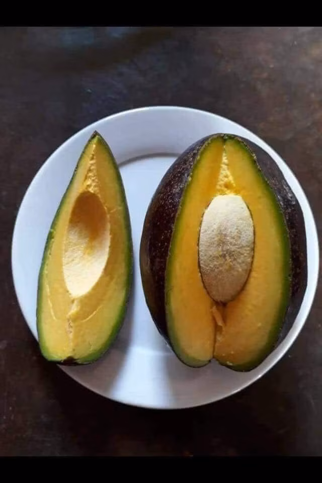 Khi đạt độ già chuẩn ánh tím là lúc bơ chín. Ảnh: FB Đặng Xuân Hồng Anh.