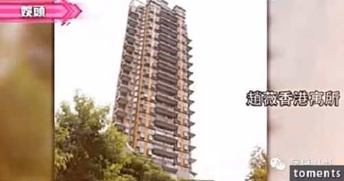 Ở Hong Kong, Triệu Vy sở hữu 3 biệt thự và căn hộ cao cấp trị giá 120 triệu NDT (389 tỉ đồng).