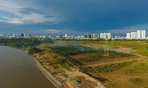 Việc chuyển nhượng phần đất đã đền bù tại xã Phước Kiển của Công ty Tân Thuận cho Công ty CP Quốc Cường Gia Lai là không đúng với thẩm quyền Ảnh: HOÀNG TRIỀU