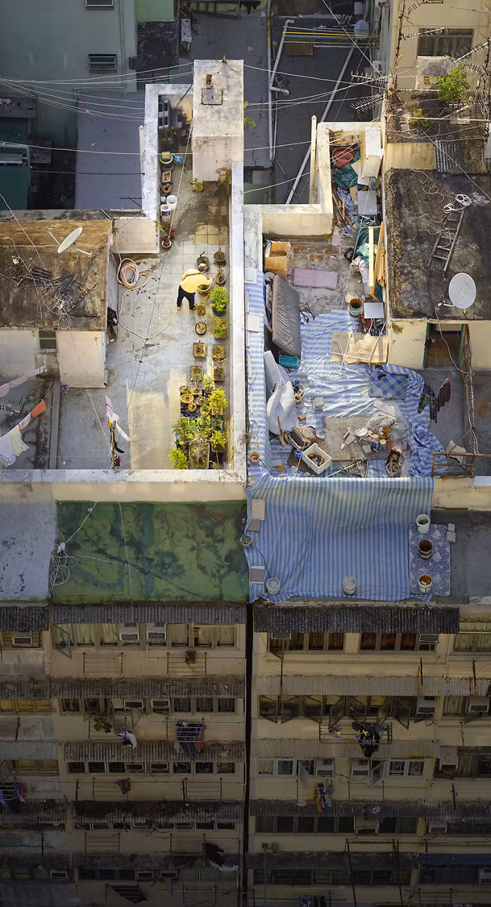 Sân thượng của tòa nhà được biến thành vườn cây bonsai xanh mướt.