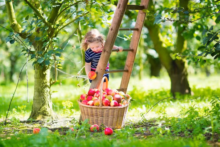 Trẻ nhỏ được cha mẹ đưa tới đây để tham quan, tìm hiểu.