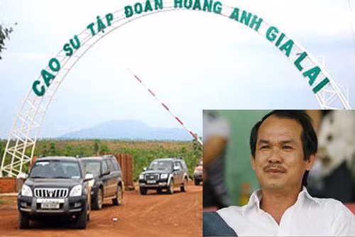 Lúc đầu là chú tâm vào bất động sản (2009 - 2012), sau đó chuyển sang mía đường (2013 - 2014), rồi là bò sữa (2015-2016) và gần đây nhất là chuyển sang trái cây. Ảnh: Vietnamnet.