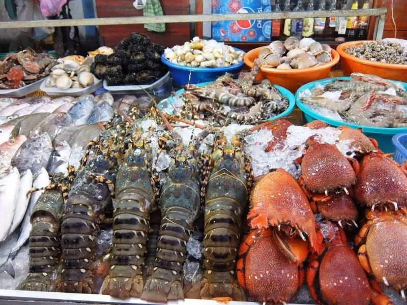 Các loại hải sải tươi sống như tôm, mực, ngao...sẽ cao hơn giá trong Tết từ 10.000 - 20.000 đồng/kg. Ảnh: Toplist.