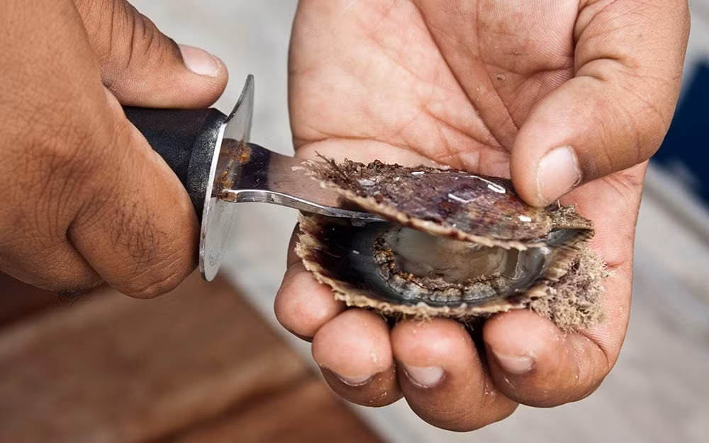 Theo truyền thống, các thương nhân Bahrain có thể phát hiện ngọc trai tự nhiên chỉ bằng cách quan sát. Ảnh: Telegraph.