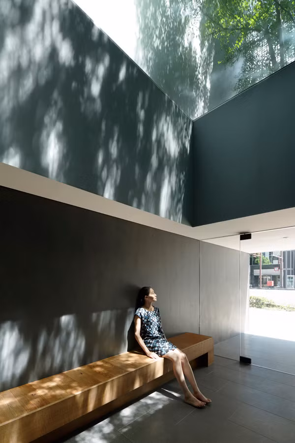 Mặt đứng ngôi nhà được tạo ra tựa như dòng thác chảy xuống, khuyếch tán ánh sáng và lấy đầy không gian.