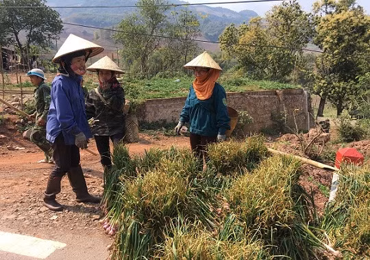 Nước tưới được bà con lấy từ các khe suối nhỏ dẫn từ trên đồi về ruộng. Ảnh: Dân Việt.