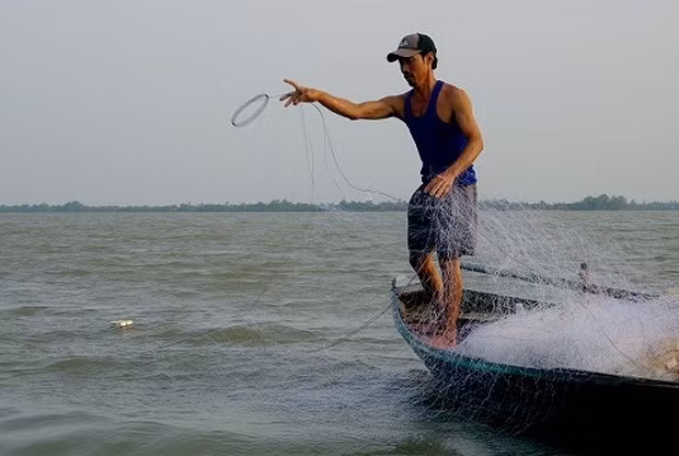 Tùy theo con nước mà người dân thả lưới từ 2-3 lượt. Ảnh: VOV.