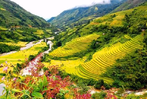 Hành trình quen thuộc Hà Nội - Sa Pa cũng được một số công ty lữ hành giảm giá còn khoảng 2 triệu đồng với hành trình 3 ngày 2 đêm. Ảnh: DulichSapa.