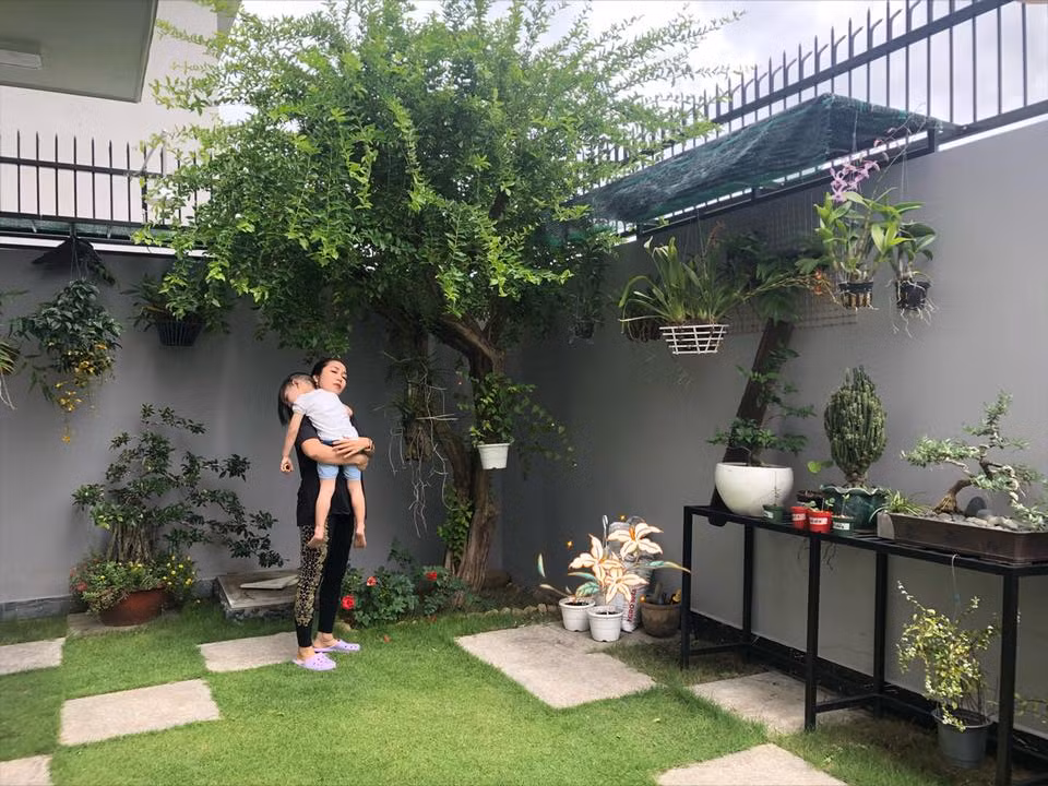 Góc vườn nhỏ với nhiều cây xanh.