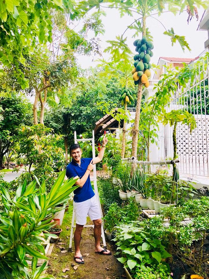 Công Vinh thích thú khoe cây đu đủ sai trĩu quả trong vườn nhà. Ảnh: FB Le Cong Vinh.