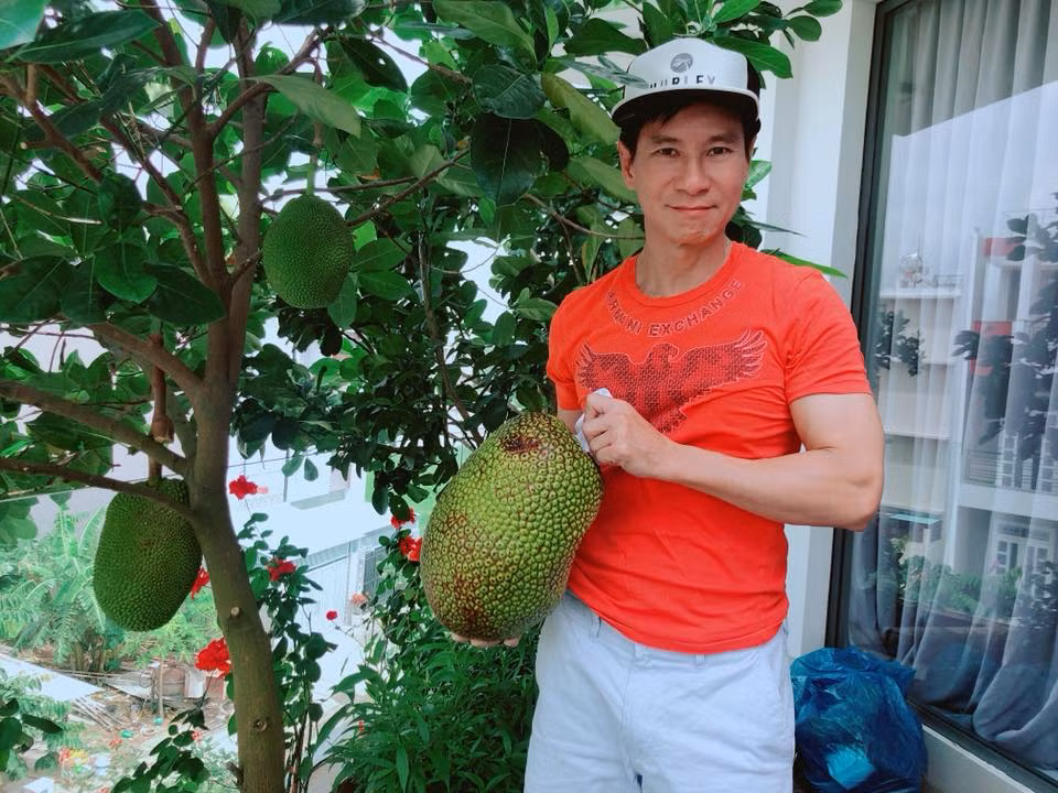 Đặc biệt, vợ chồng Lý Hải - Minh Hà còn chăm được cả một cây mít Thái nhỏ nhưng cho quả khá to. Ảnh: FB Ly Hai Minh Ha.