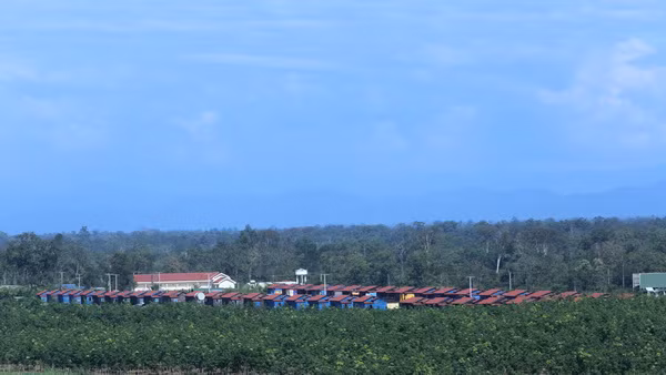 Khu nhà tái định cư. Ảnh: HAGL Group.