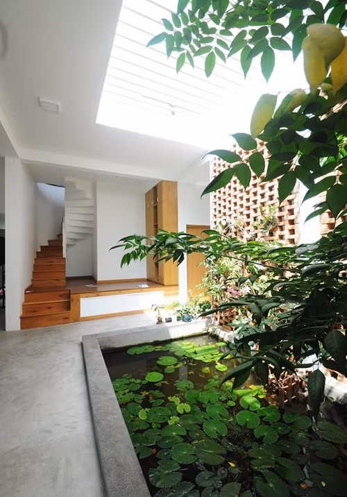 Hồ sen được xem là điểm nhấn đắt giá nhất của ngôi nhà.